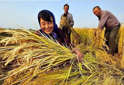 重磅！繼包產(chǎn)到戶之后，我國農(nóng)村又一次迎來重大改革